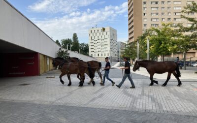 Retour sur les Journées Nationales de l’architecture à Nanterre